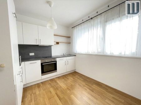 Gepflegte 1-Zi Gartenwohnung mit Terrasse & Garage in Leobersdorf, Miete 697,29 € - Foto 2
