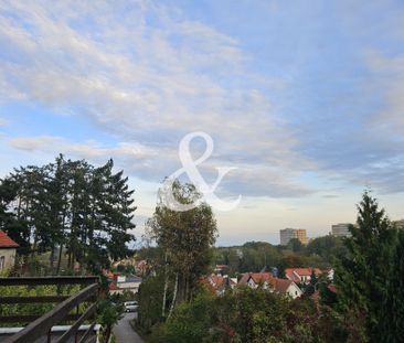 Sopot Kamienny Potok - Zdjęcie 2