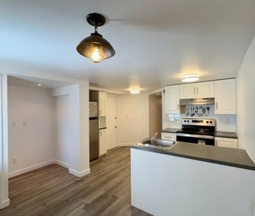 Nouveauté sur le marché Appartement à louer - Montréal (Mercier/Hoc... - Photo 6