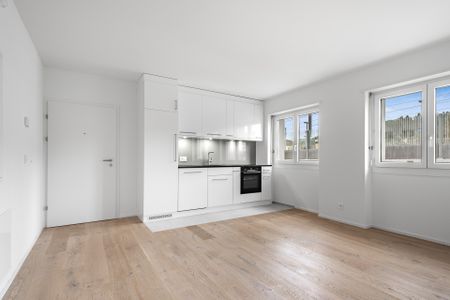 4410 Liestal - Photo 5