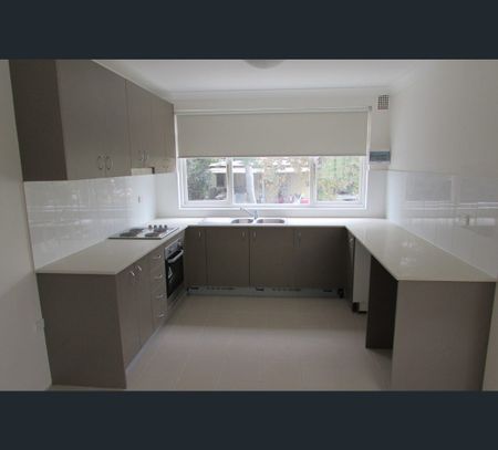 5/5 Chapman Street, Strathfield, NSW 2135 - Photo 2