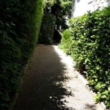 Studio/Γκαρσονιέρα για ενοικίαση - Βουλιαγμένη, - Photo 1