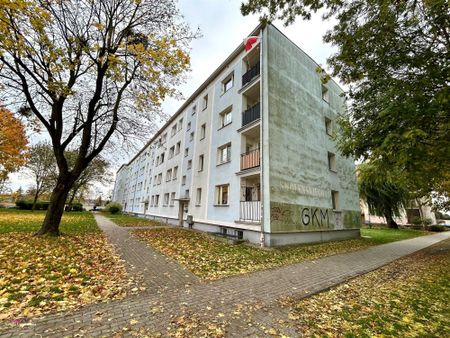 Grudziądz Mieszkanie na wynajem - Zdjęcie 5