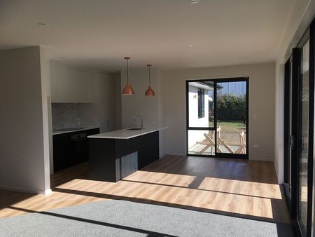 Sunny modern home, large garden, walk to town/lake - Photo 2