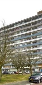 Van Adrichemstraat, 2614 Delft, Nederland - Photo 3