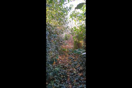 Room in a Shared House, Gantshill, IG2 - Photo 3