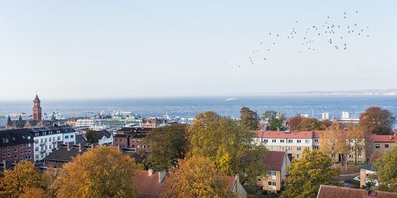 Lilla Möllevångsgatan 5 B - Foto 3