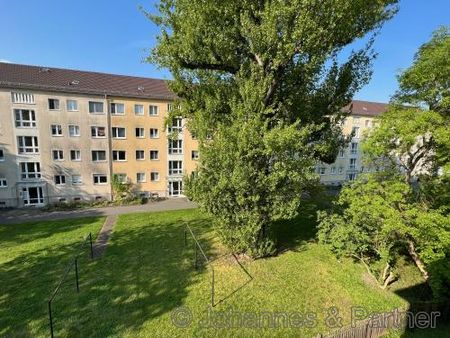 01187 Dresden - Plauen , Bernhardstraße 44 WE 6 - Photo 4