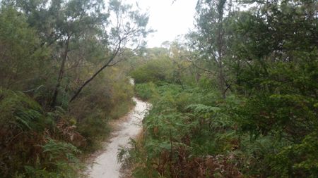 Frankston North - Photo 2