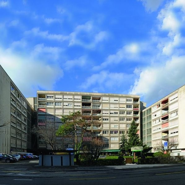 Malagnou - Champel - Appartement au 8ème étage en attique - Photo 1