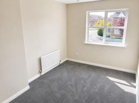 26 Whitethorn Brae, Newtownards, BT23 8EX - Photo 3