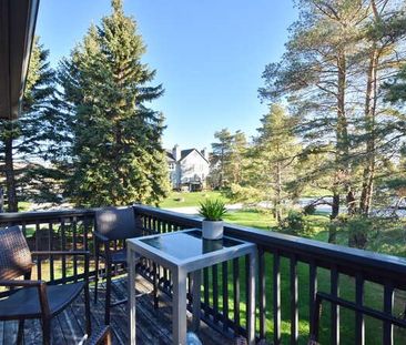 For Lease - 332 Mariners Way, Collingwood, Ontario - Photo 6