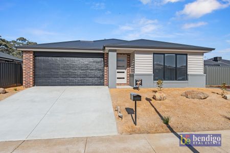 Modern Home in Huntly - Photo 5