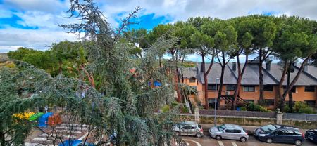 Dúplex de alquiler en Paseo Joaquin Ruiz Gimenez, 8, Casco Antiguo - Photo 3