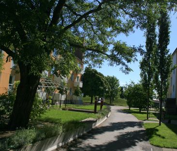 Stjärngatan 14 B - Foto 1