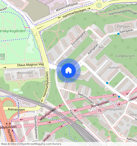 Olaus Magnus Väg 10, Hammarbyhöjden