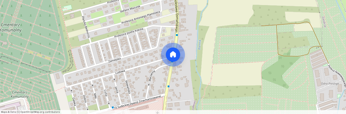 ul. ks. Bolesława Domańskiego, Zaodrze, Opole, opolskie