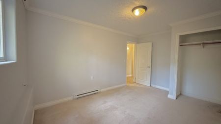 5855 Sycamore Street – Lower - Photo 5