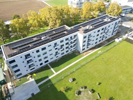 "Moderne Wohnungen in sanierter Liegenschaft im Längi-Quartier" - Photo 3