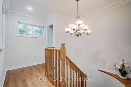For Lease - 12 Tormina Court, Markham, Ontario - Photo 5