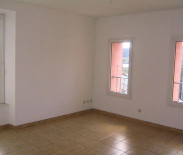 Location Appartement 2 pièces 52m² LABEGUDE 07200 - Photo 3