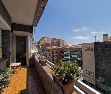 Carrer de Puig i Xoriguer, Barcelona, Catalonia 08004 - Photo 6