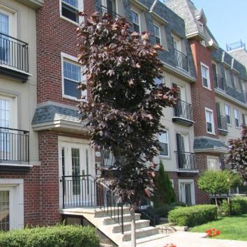 Grand 4 1/2 style condo - Photo 3