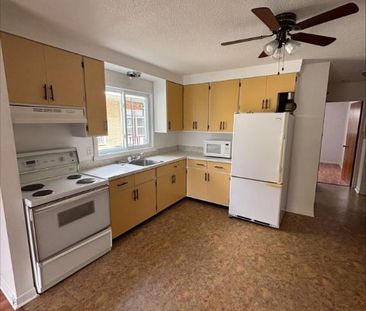 1 CH - 1 SDB - Sherbrooke - $980 /mo - Photo 4