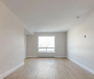 487 Dominion Ave, Midland, ON L4R 3M4, Canada — 1 - 487 Dominion Av... - Photo 6