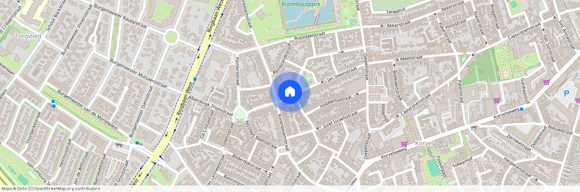 Schildersbuurt Zuid, 5025 NH, Van Dijckstraat, Tilburg