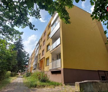 Pronájem bytu 3+1 65 m², Tomáše ze Štítného 4213, Chomutov - Fotografie 4