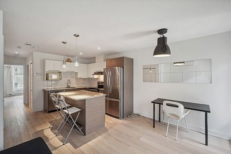 Condo for rent, Montréal (Le Plateau-Mont-Royal) - Photo 5