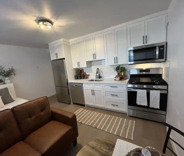 Fully renovated high end studio condo with in-suite laundry. | 301 ... - Photo 1