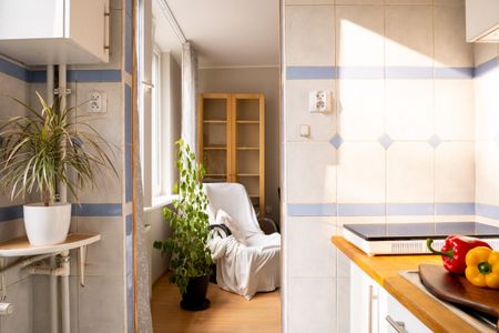 Zwierzolubna kawalerka do wynajęcia,os.Niedźwiadek - Zdjęcie 5