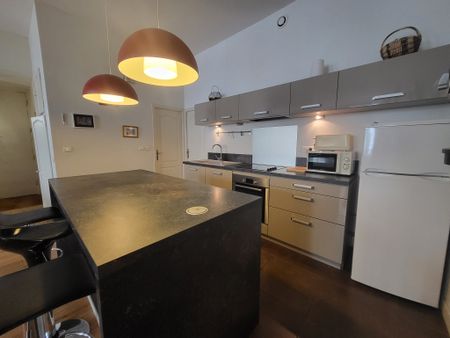 Grand appartement T2 de 78m² à Lyon 1 - Photo 5