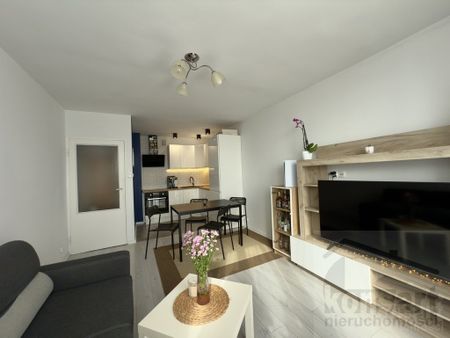 2pok. w sercu miasta al. Woj. Polskiego - Photo 3