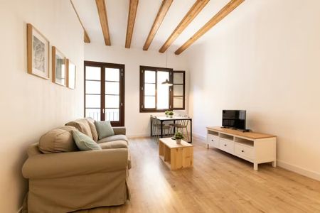 Carrer de Joaquín Costa, Barcelona, Catalonia 08001 - Photo 2