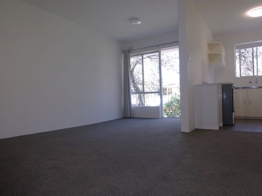 RECENTLY UPDATED SECURE ONE BEDROOM - Photo 1