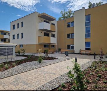 Erstbezug – Moderne 3-Zimmer-Wohnung mit lichtdurchfluteten Räumen - Photo 5