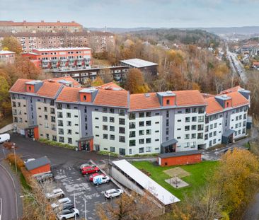 Doktor Allards gata 62 - Photo 6