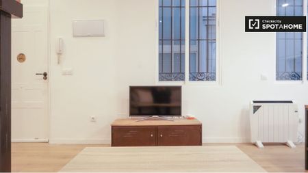 madrid, Community of Madrid 28005 - Photo 3