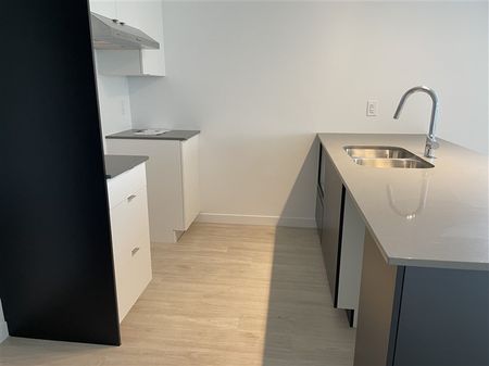 842-203 rue Lamarche, Sherbrooke, J1H 0M9 4½ (Décembre 2025) - Photo 3