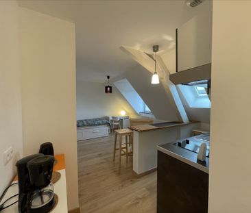 Location Appartement 1 pièce 20m² - Photo 2