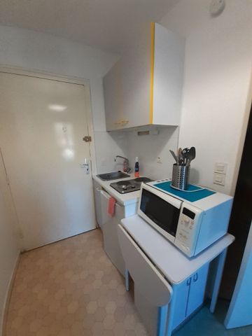 Location Appartement 1 pièce 14m² - Photo 3