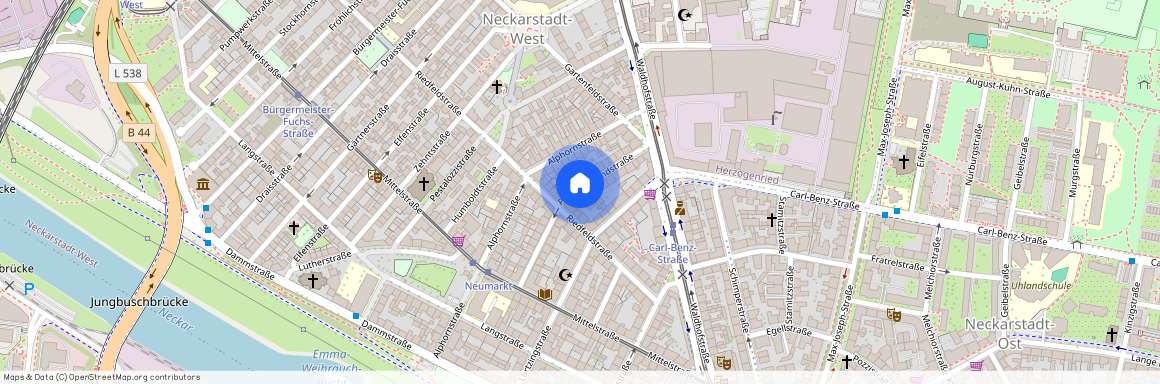 Pflügersgrundstraße, 68169 Mannheim-Neckarstadt-West, Germany