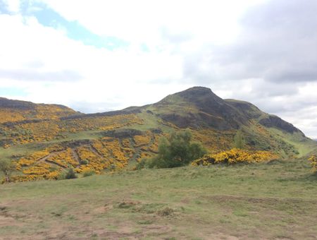 1 Bed Flat, Viewcraig Gardens, EH8 - Photo 3