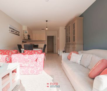 In optie - Appartement te huur in Nieuwpoort met 1 slaapkamer - Photo 2