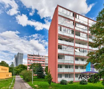 Pronájem bytu 1+kk 27 m2 - Fotografie 5