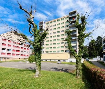 Magnifique appartement à Fribourg - Photo 5