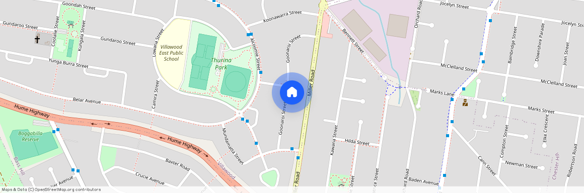 29 Goonaroi Street, NSW 2163, Villawood